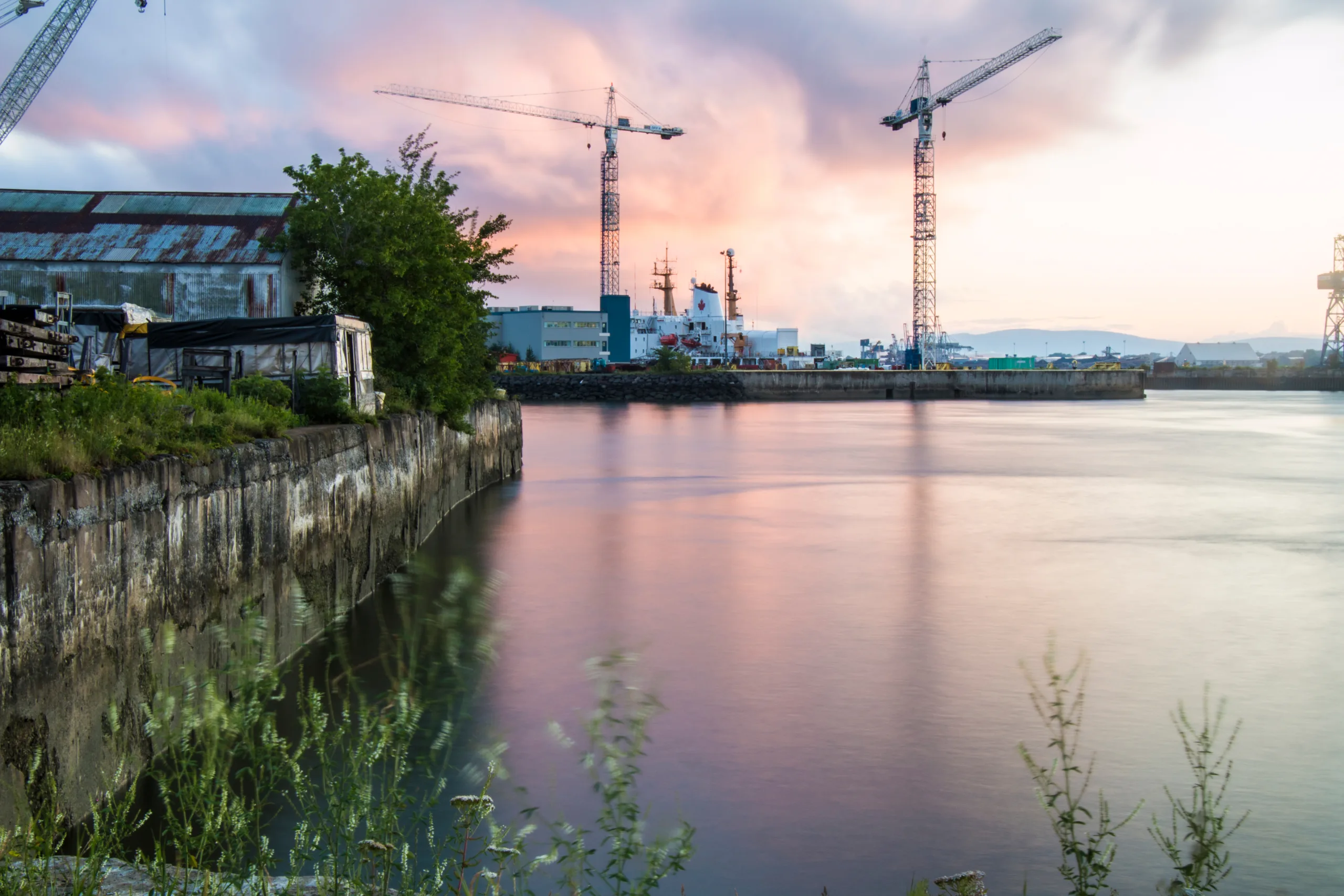 Des grues sur un couche de soleil